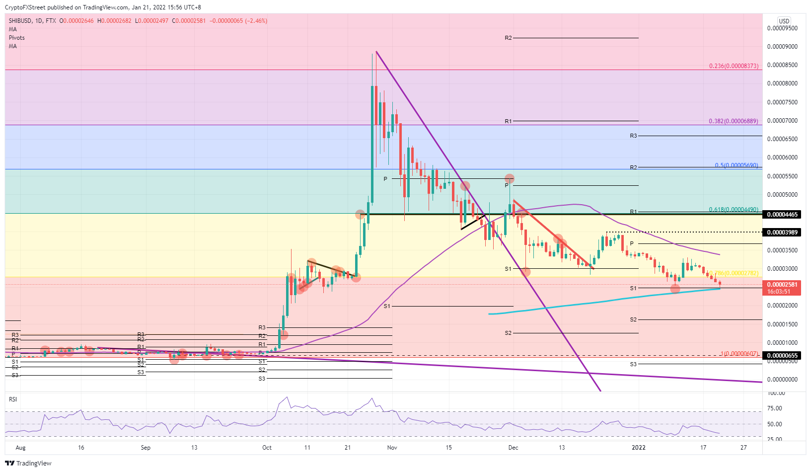 shiba inu price expected to drop 70 with new low in the market says analyst