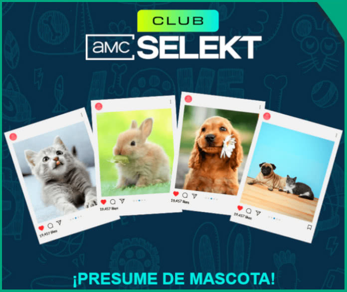 AMC Selekt raffles off a year of pet food